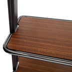 Roxanne Bookshelf