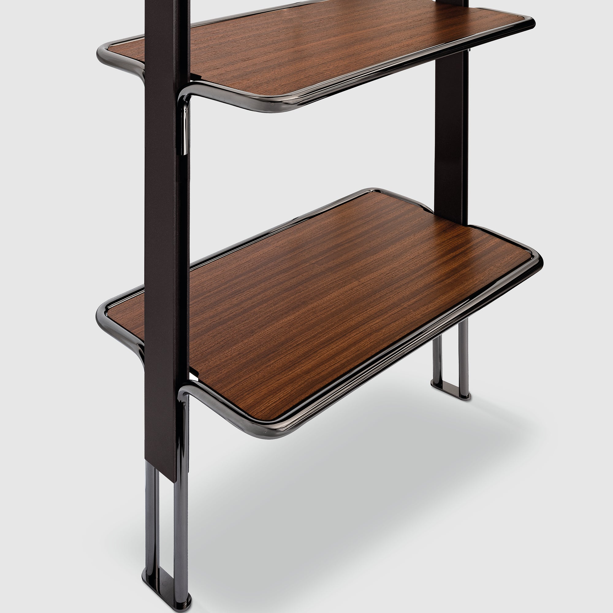 Roxanne Bookshelf