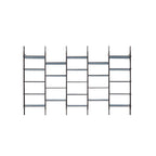 Roxanne Bookshelf