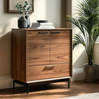 Linq Entry Cabinet