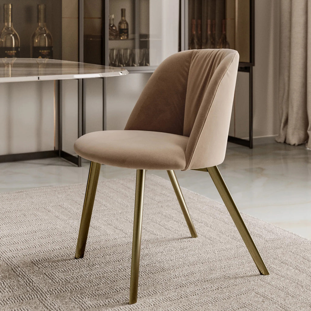 Agatha Dining Chair With Conical Legs