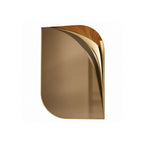 Argo Mirror