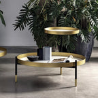 Planet Coffee Table