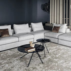 Ray Coffee Table
