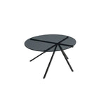 Ray Coffee Table