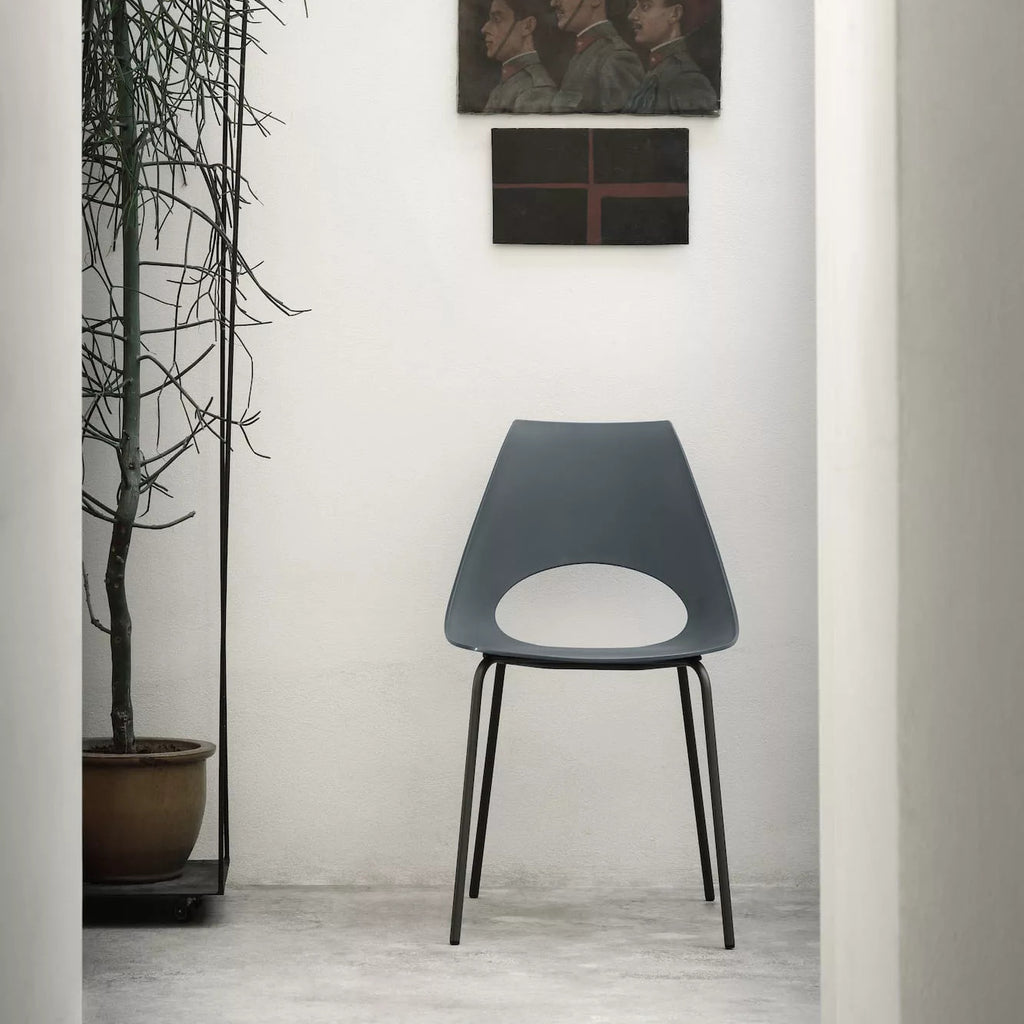 Shark Dining Chair