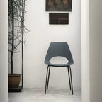 Shark Dining Chair