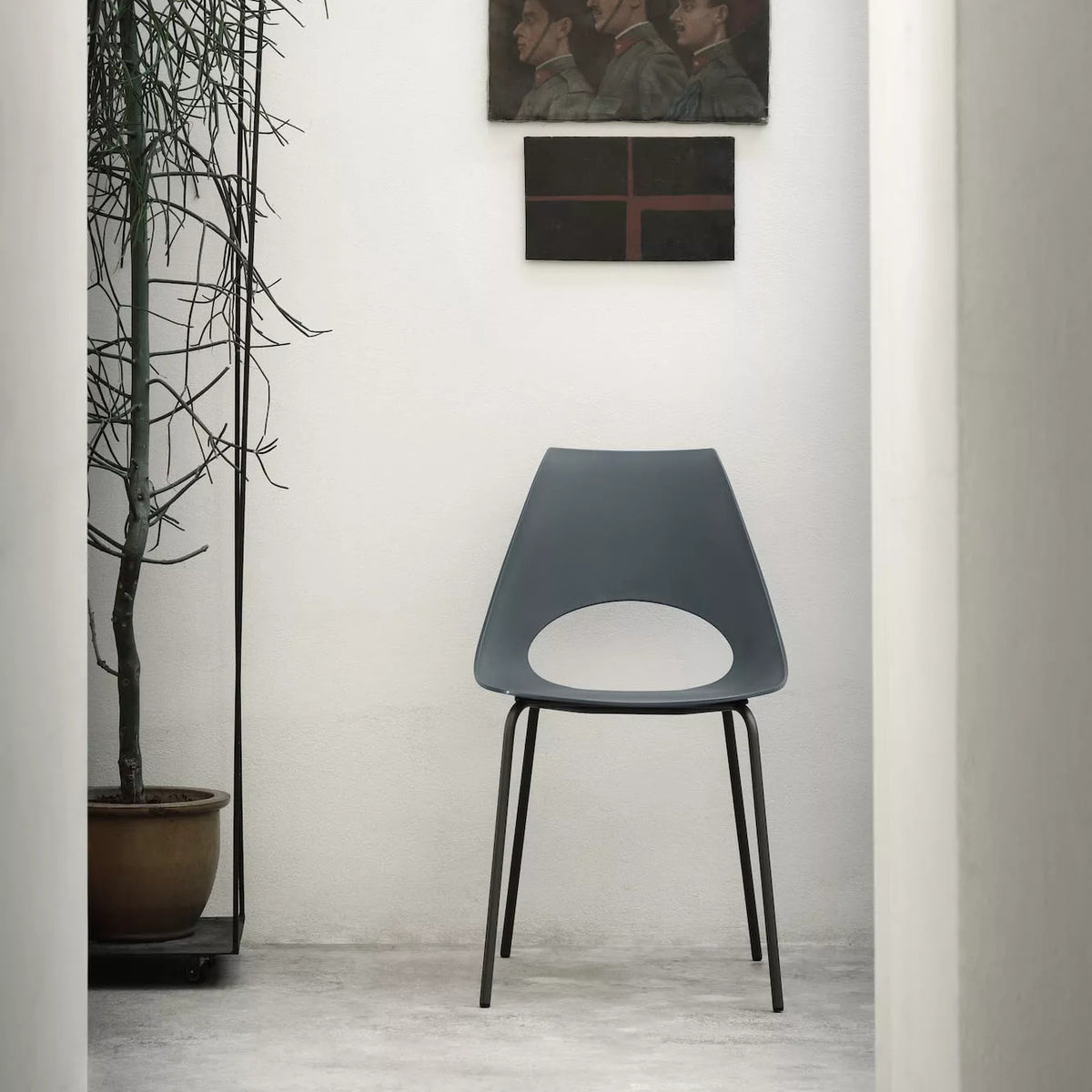 Shark Dining Chair