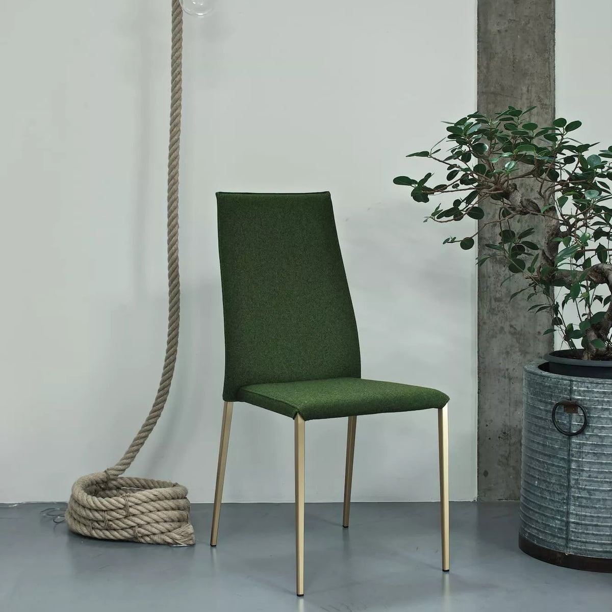 Tai Dining Chair