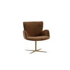 Ariel Armchair