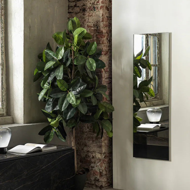 Eidos Mirror