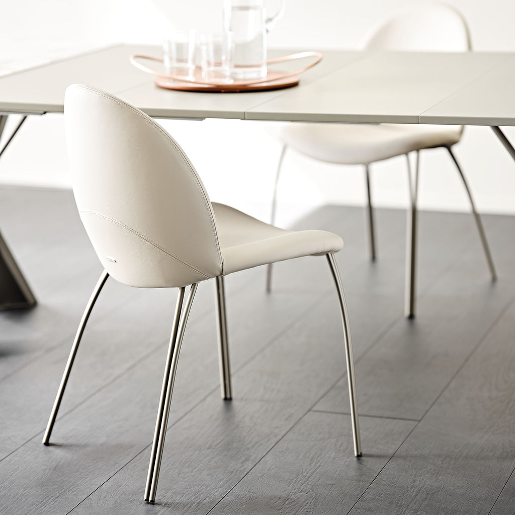 Holly Dining Chair