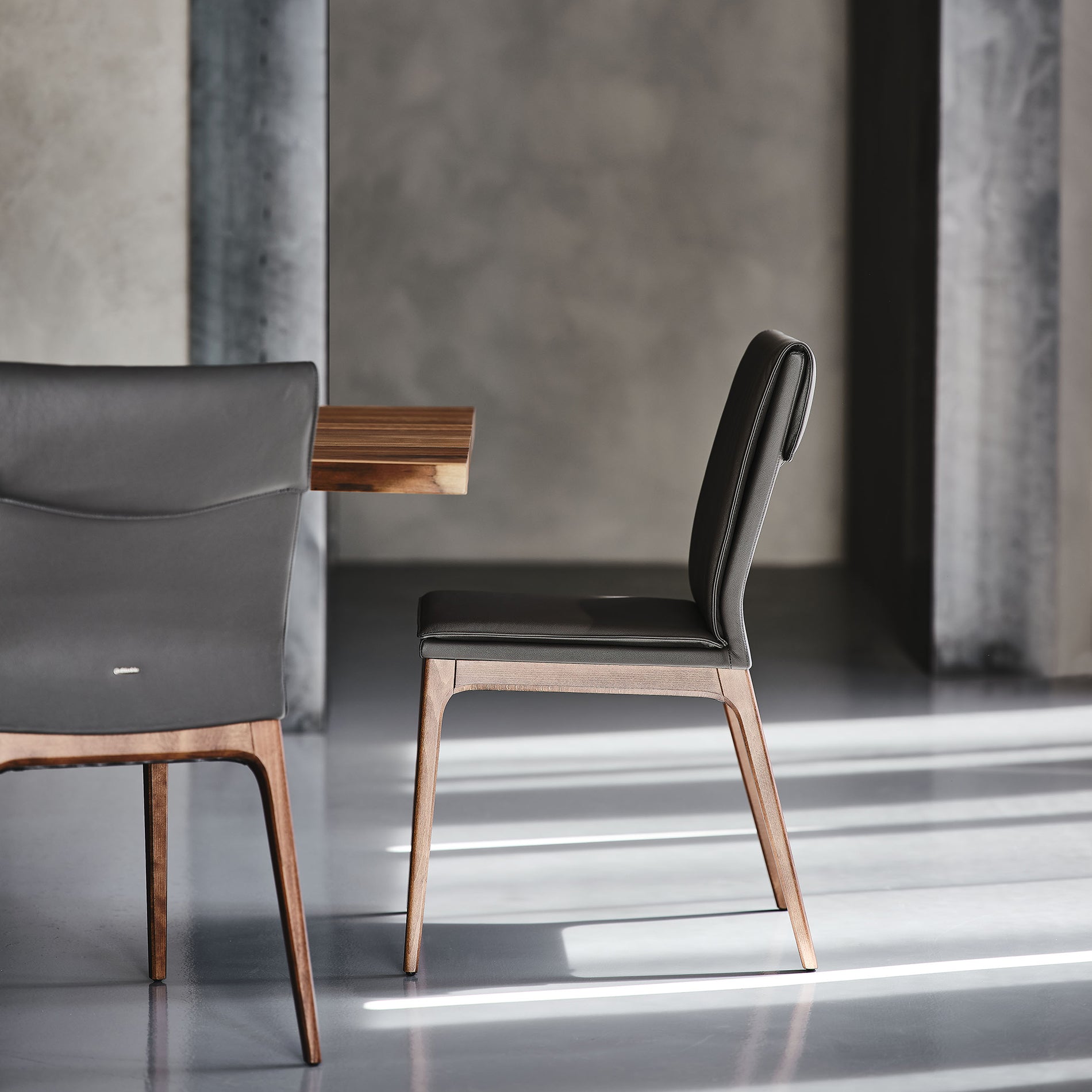 Sofia Dining Chair