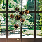 Apollo Chandelier