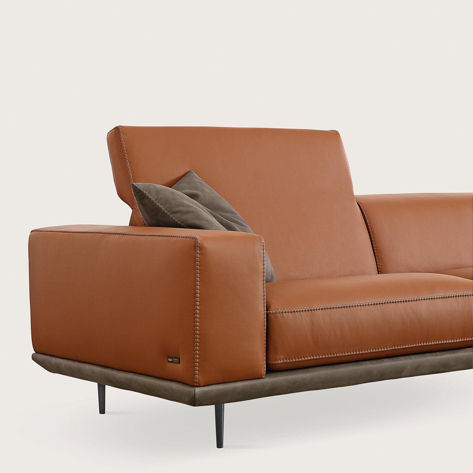 Denny Sofa / Sectionals