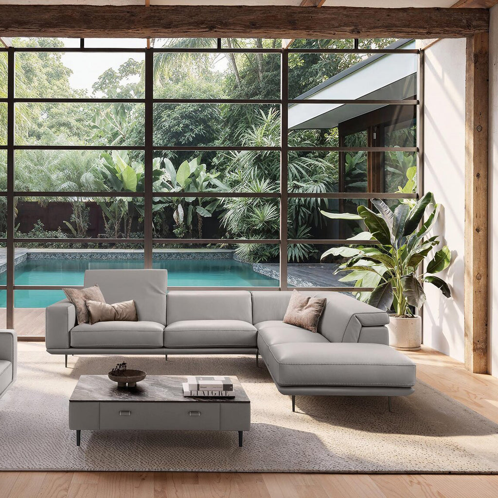 Denny Sofa / Sectionals