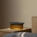 Carousel Table Lamp