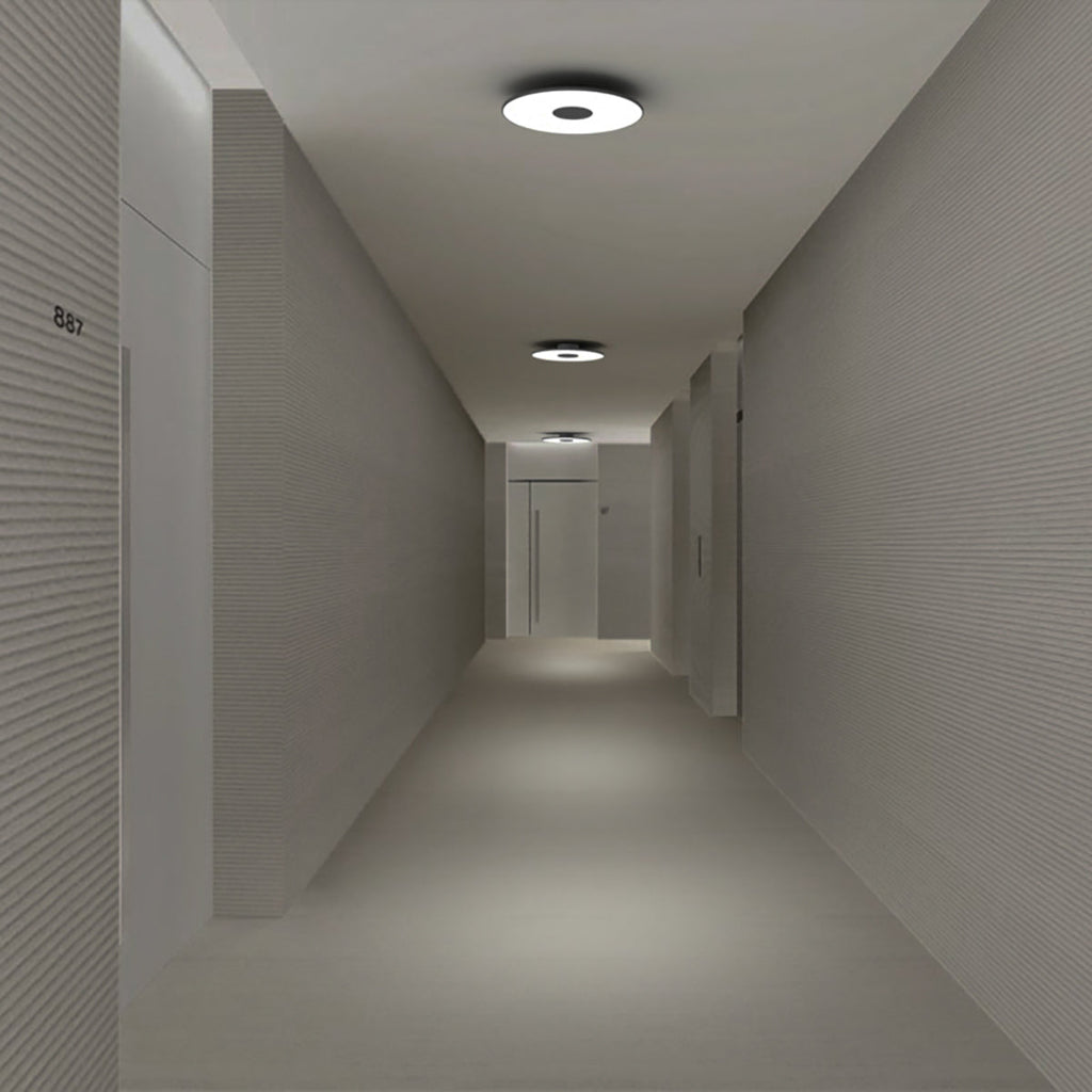Circa Flush Wall + Ceiling Light