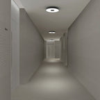 Circa Flush Wall + Ceiling Light