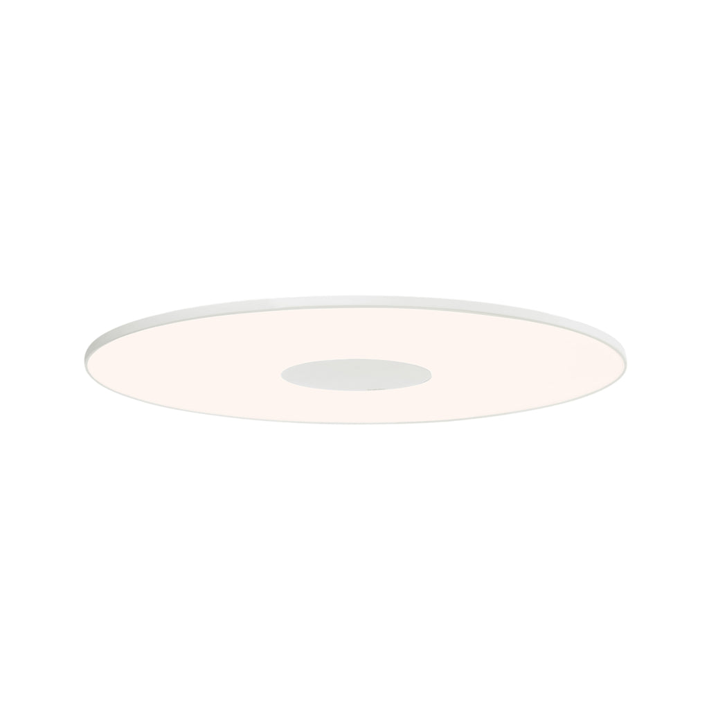 Circa Flush Wall + Ceiling Light
