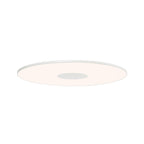 Circa Flush Wall + Ceiling Light
