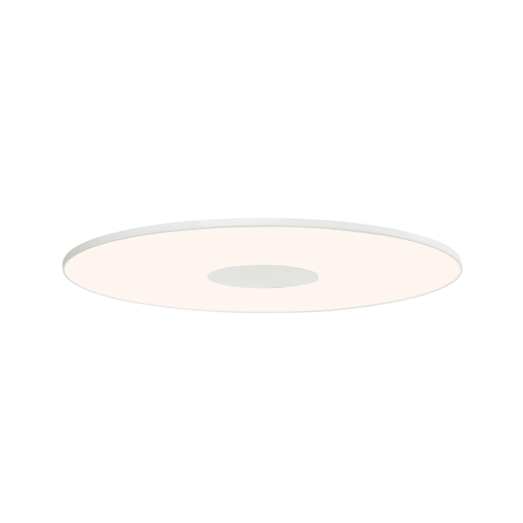 Circa Flush Wall + Ceiling Light