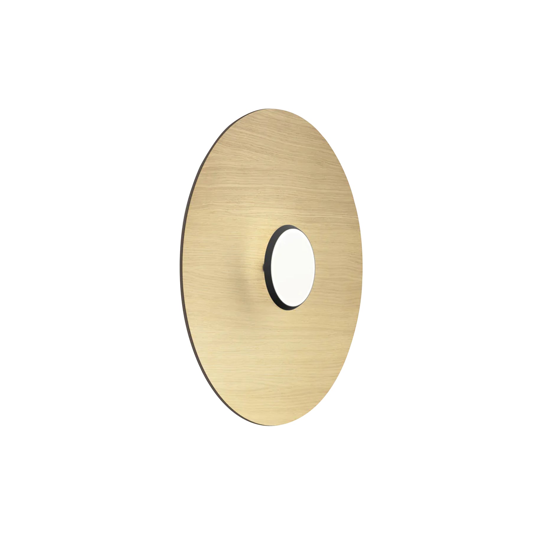 Sky Dome Flush Light