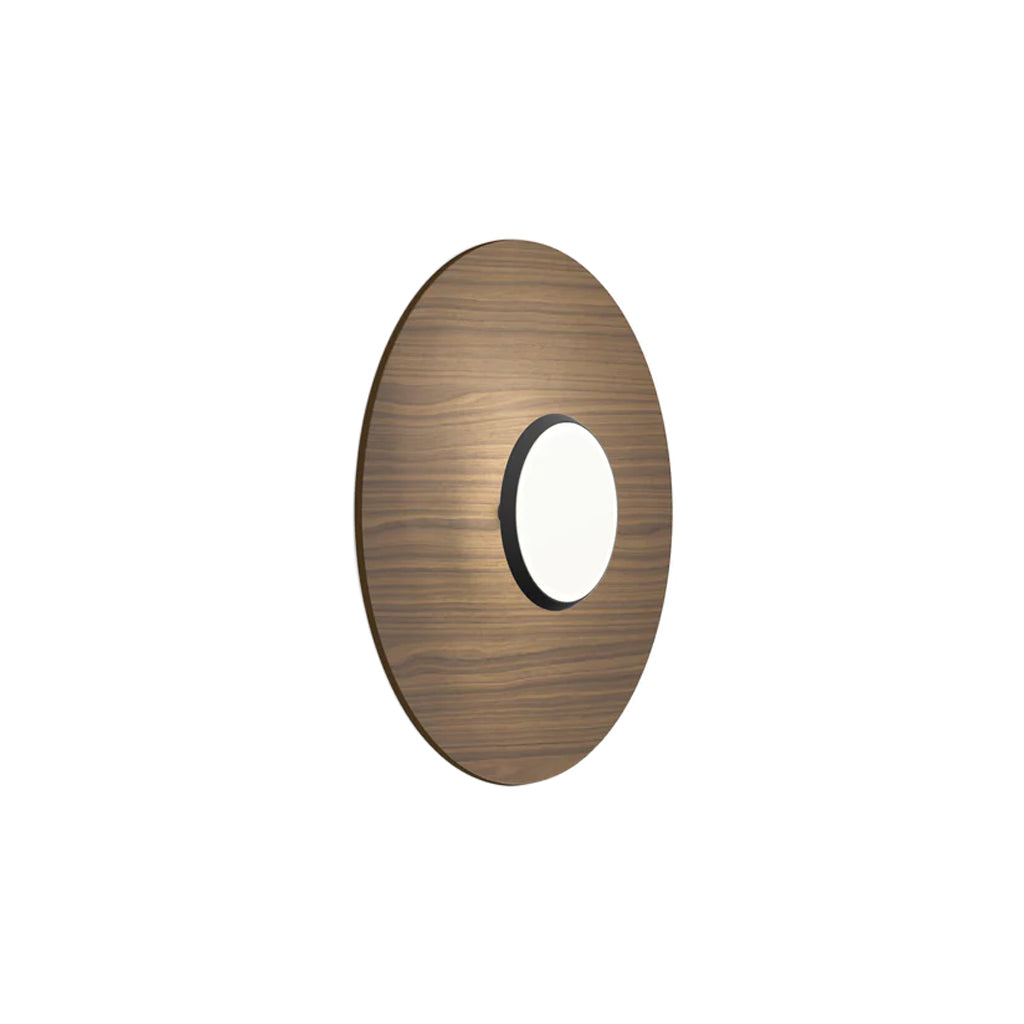 Sky Dome Flush Light