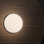 Sky Dome Flush Light