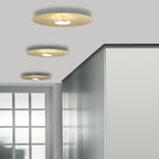Sky Dome Flush Light