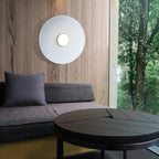 Sky Dome Flush Light