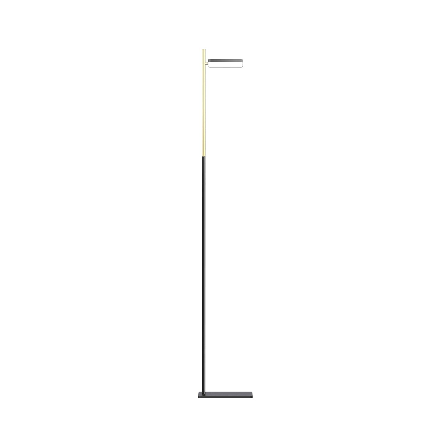 Talia Floor Lamp
