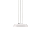 Totem Downlight Pendant