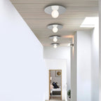 Bola Disc Wall + Ceiling Light
