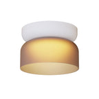 Totem Mini Flush Downlight