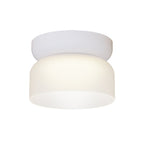 Totem Mini Flush Downlight