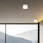 Totem Mini Flush Downlight