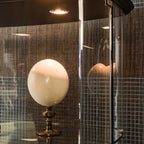 Concerto Display Cabinet
