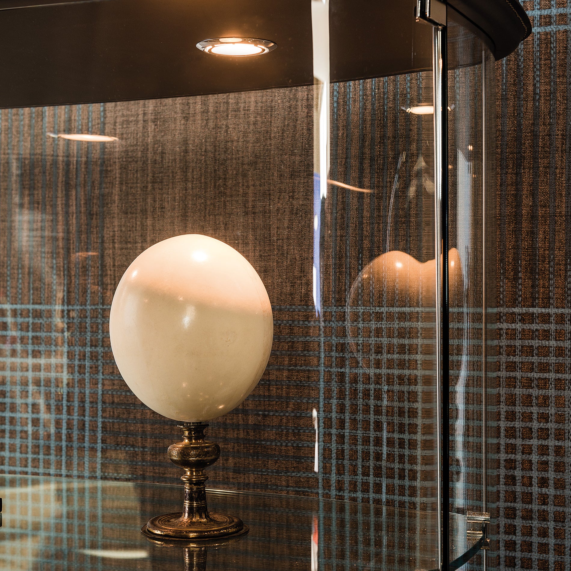 Concerto Display Cabinet