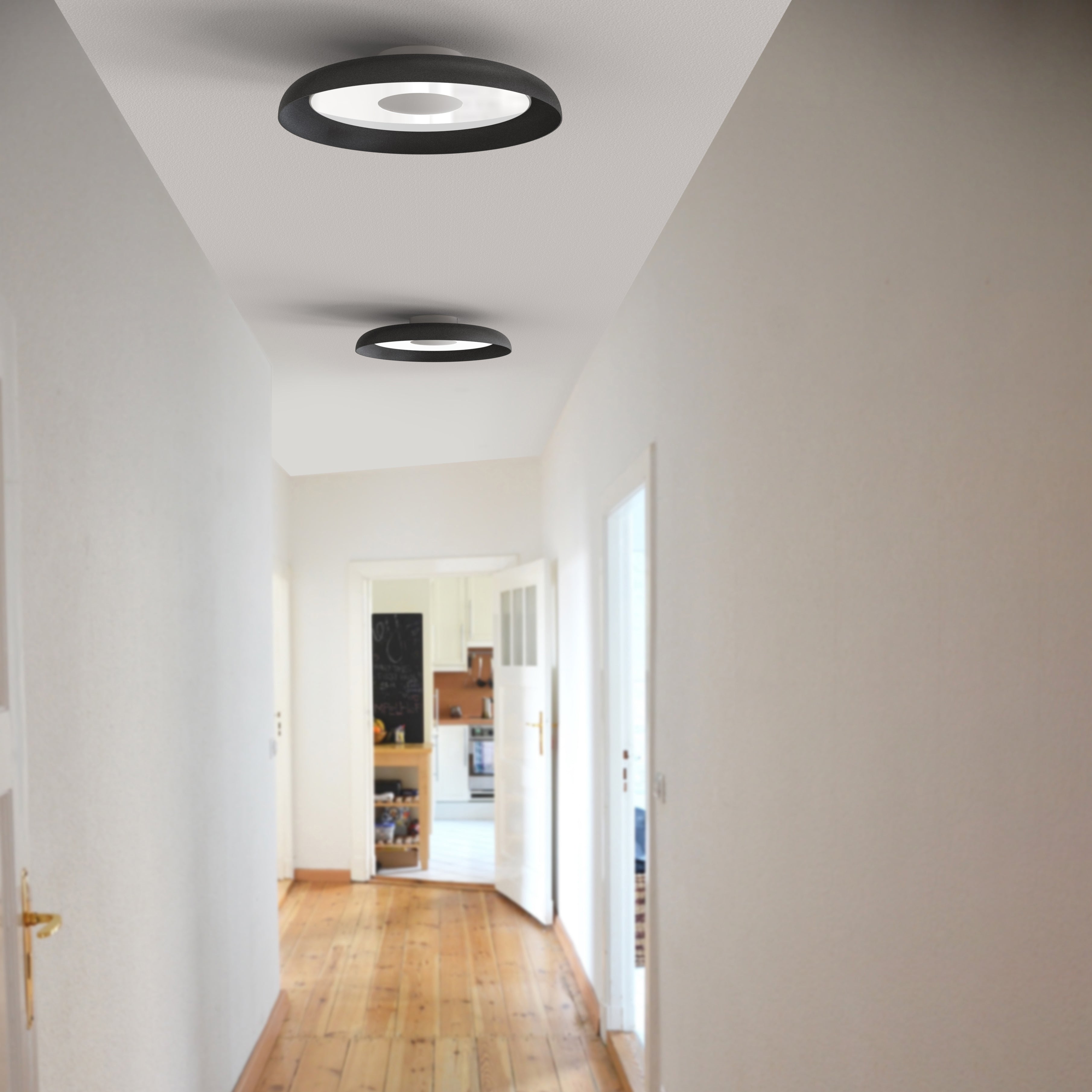 Nivel Flush Wall + Ceiling Light