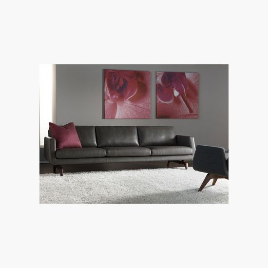 Call wasser's @ 954-454-9500 If you have any questions