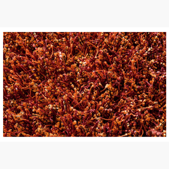 Linie Design Sprinkle Orange Rug www.wassersfurniture.com